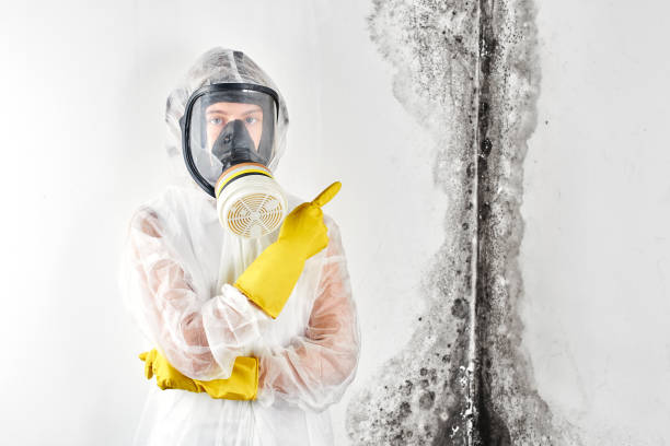 Best Industrial Mold Remediation  in Rafter J Ranch, WY